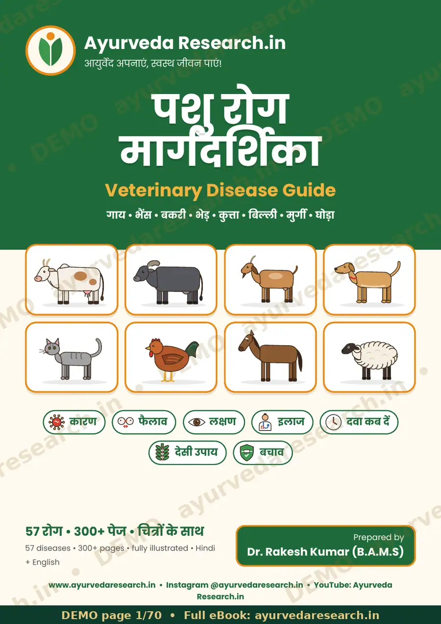 सैंपल पेज 1